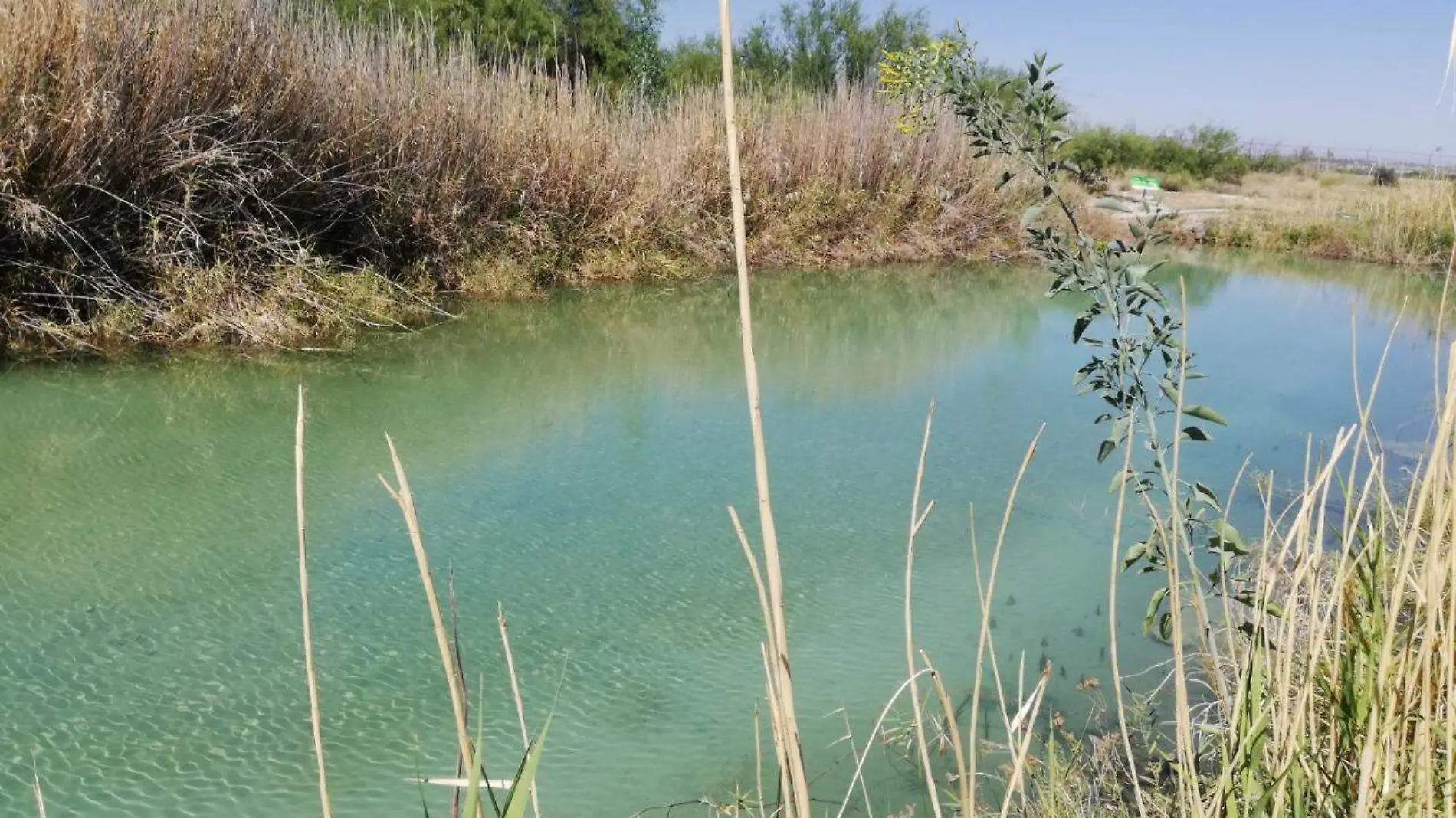 humedal, ecosistema en julimes